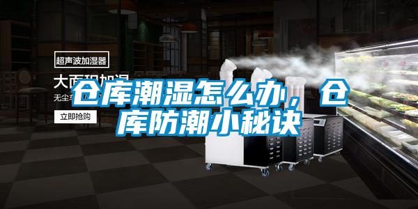倉庫潮濕怎么辦，倉庫防潮小秘訣
