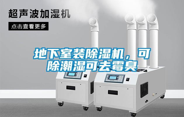 地下室裝除濕機(jī)，可除潮濕可去霉臭