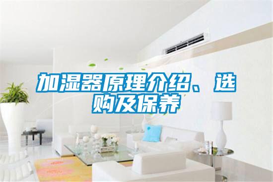 加濕器原理介紹、選購(gòu)及保養(yǎng)