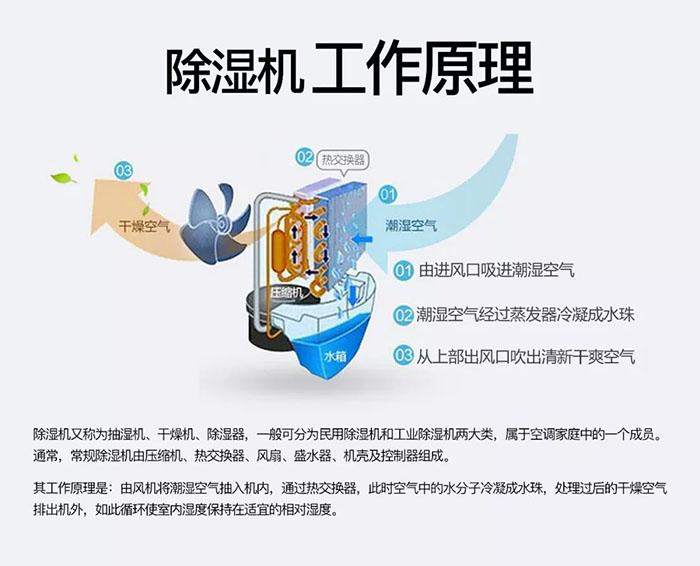 南北之爭：南方的濕冷比北方的干冷更變態(tài)？