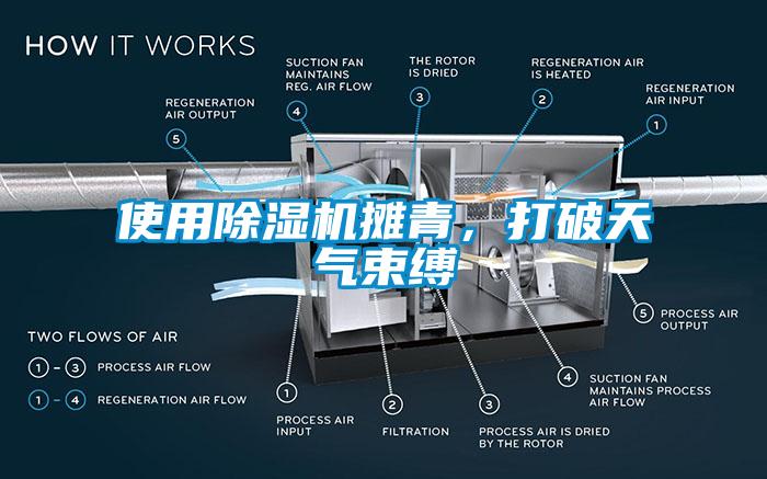 使用除濕機(jī)攤青，打破天氣束縛