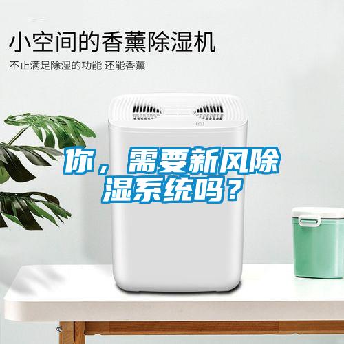 你，需要新風(fēng)除濕系統(tǒng)嗎？