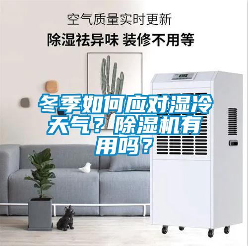 冬季如何應(yīng)對(duì)濕冷天氣?除濕機(jī)有用嗎?