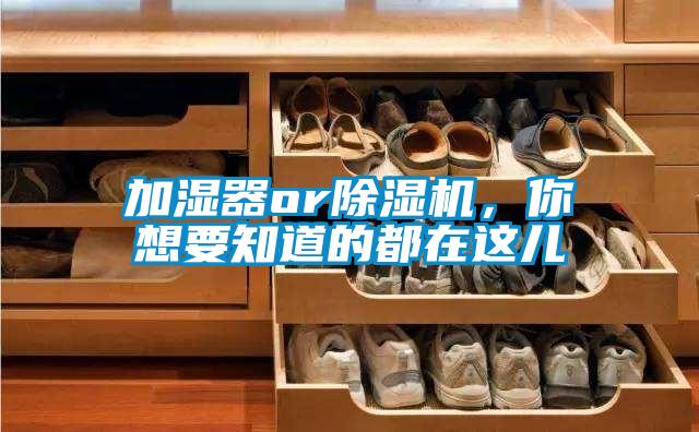 加濕器or除濕機(jī)，你想要知道的都在這兒