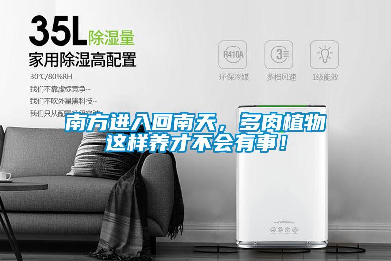 南方進入回南天，多肉植物這樣養(yǎng)才不會有事！