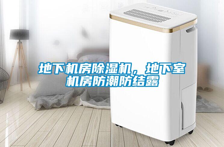地下機(jī)房除濕機(jī)，地下室機(jī)房防潮防結(jié)露