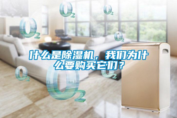 什么是除濕機(jī)，我們?yōu)槭裁匆?gòu)買它們？