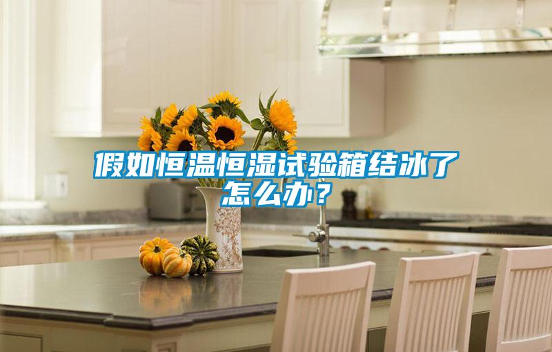 假如恒溫恒濕試驗箱結(jié)冰了怎么辦？