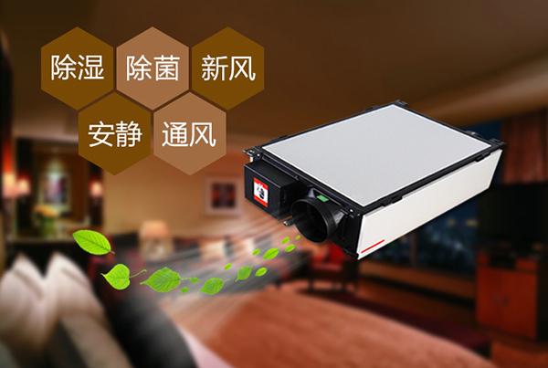 制作花紙的車間倉庫，用工業(yè)除濕機顯得尤為重要