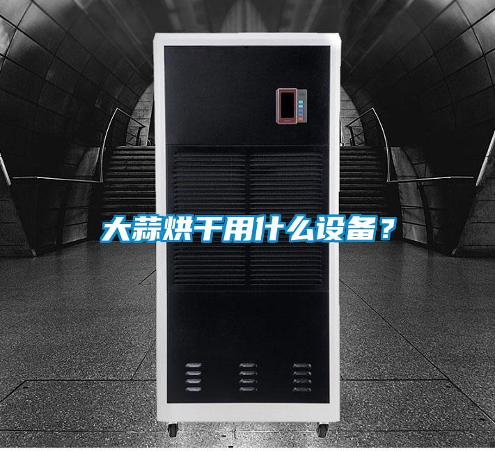 大蒜烘干用什么設(shè)備？