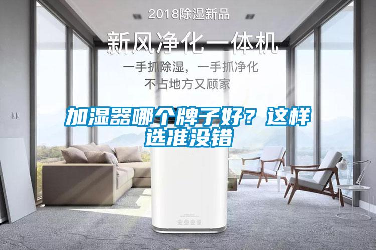 加濕器哪個牌子好？這樣選準沒錯