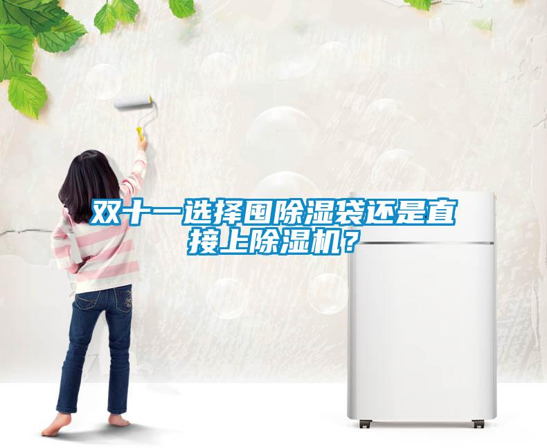 雙十一選擇囤除濕袋還是直接上除濕機？