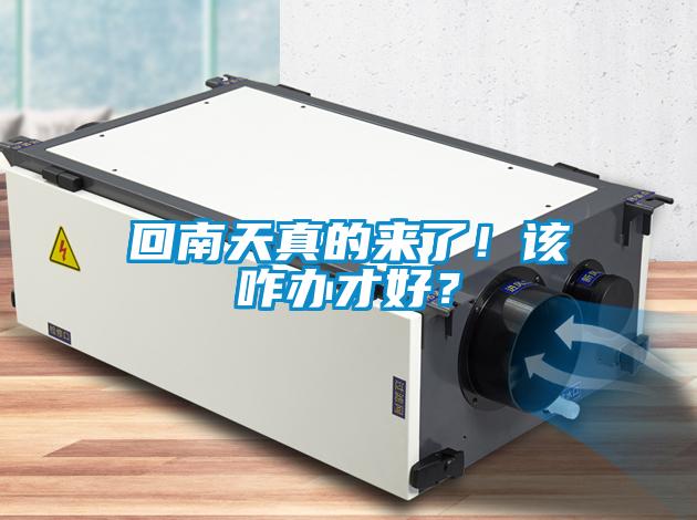 回南天真的來(lái)了！該咋辦才好？