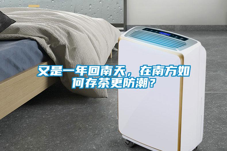 又是一年回南天，在南方如何存茶更防潮？