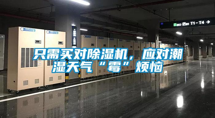 只需買對除濕機(jī)，應(yīng)對潮濕天氣“霉”煩惱