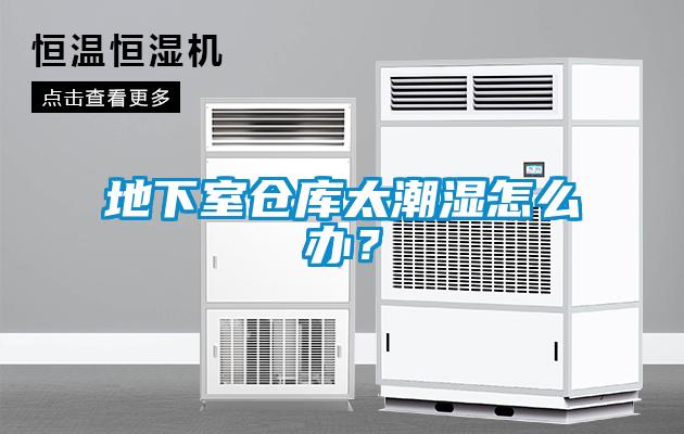 地下室倉(cāng)庫(kù)太潮濕怎么辦？