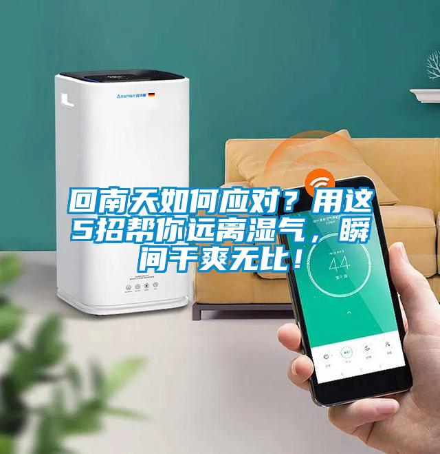 回南天如何應(yīng)對？用這5招幫你遠(yuǎn)離濕氣，瞬間干爽無比！