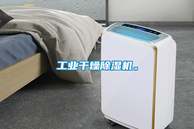 工業(yè)干燥除濕機。