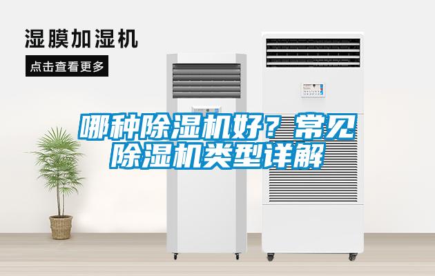 哪種除濕機好？常見除濕機類型詳解