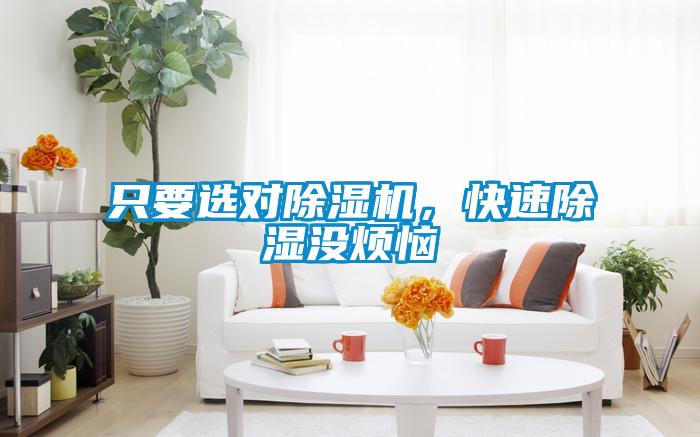 只要選對(duì)除濕機(jī)，快速除濕沒煩惱