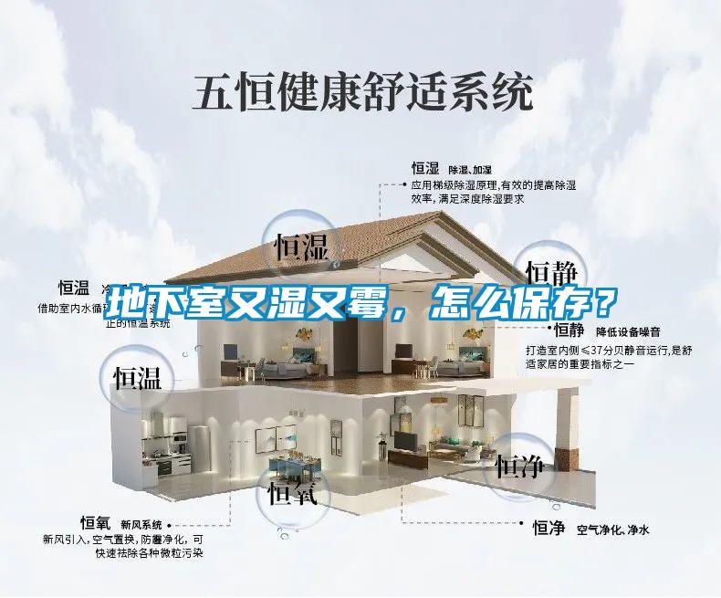 地下室又濕又霉，怎么保存？