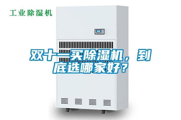雙十一買除濕機(jī)，到底選哪家好？