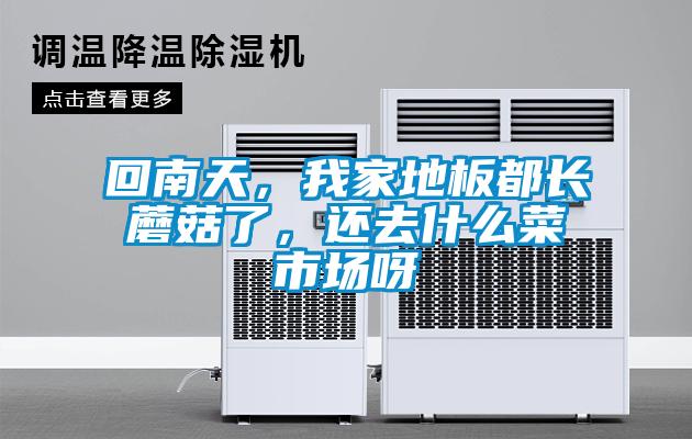 回南天，我家地板都長蘑菇了，還去什么菜市場呀