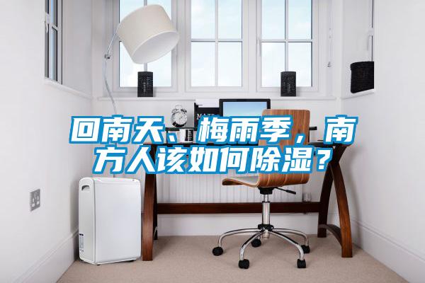 回南天、梅雨季，南方人該如何除濕？