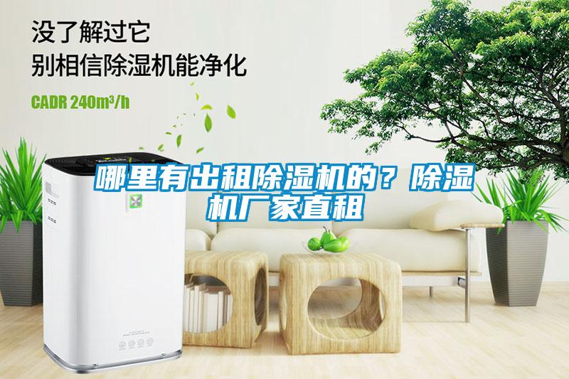 哪里有出租除濕機的？除濕機廠家直租