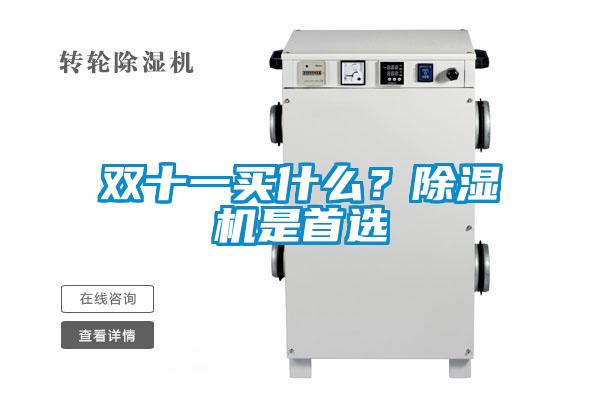 雙十一買什么？除濕機是首選