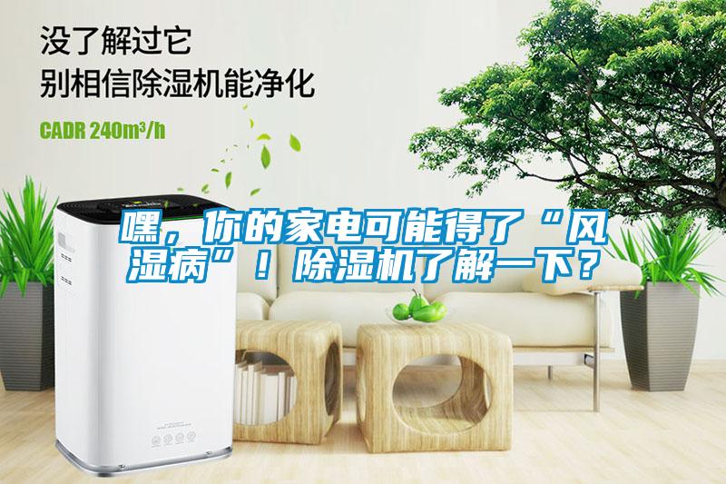 嘿，你的家電可能得了“風(fēng)濕病”！除濕機(jī)了解一下？