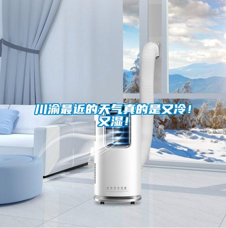 川渝最近的天氣真的是又冷！又濕！