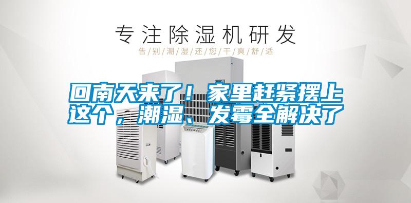 回南天來(lái)了！家里趕緊擺上這個(gè)，潮濕、發(fā)霉全解決了