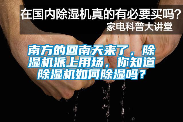南方的回南天來了，除濕機(jī)派上用場，你知道除濕機(jī)如何除濕嗎？