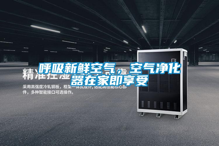 呼吸新鮮空氣，空氣凈化器在家即享受