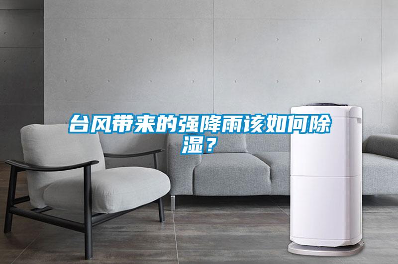 臺風(fēng)帶來的強降雨該如何除濕？