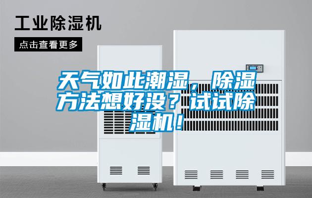 天氣如此潮濕，除濕方法想好沒？試試除濕機！