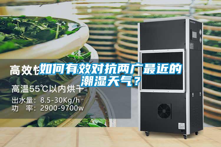 如何有效對(duì)抗兩廣最近的潮濕天氣？