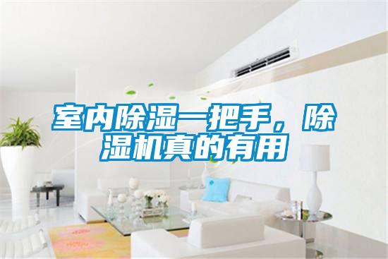 室內(nèi)除濕一把手，除濕機真的有用