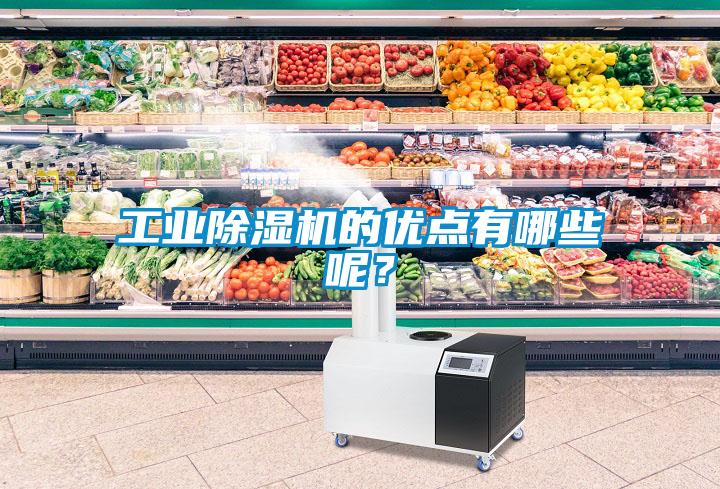 工業(yè)除濕機(jī)的優(yōu)點(diǎn)有哪些呢？