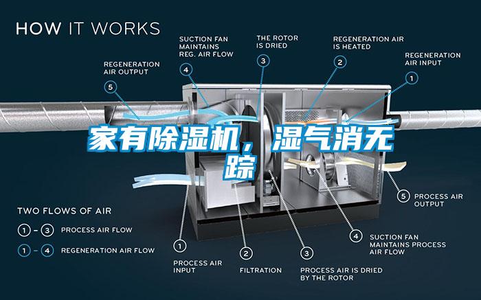 家有除濕機，濕氣消無蹤