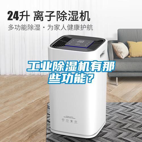 工業(yè)除濕機(jī)有那些功能？
