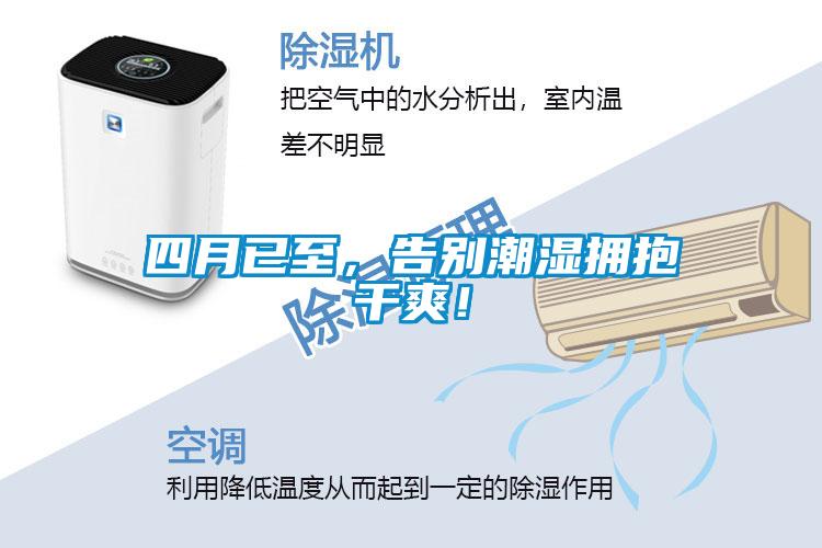 四月已至，告別潮濕擁抱干爽！