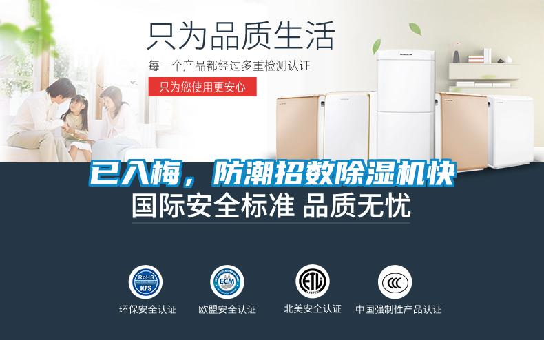已入梅，防潮招數(shù)除濕機(jī)快