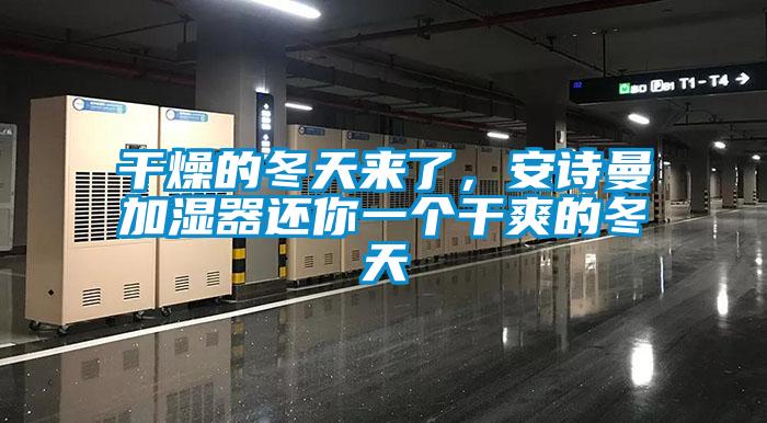 干燥的冬天來(lái)了，安詩(shī)曼加濕器還你一個(gè)干爽的冬天