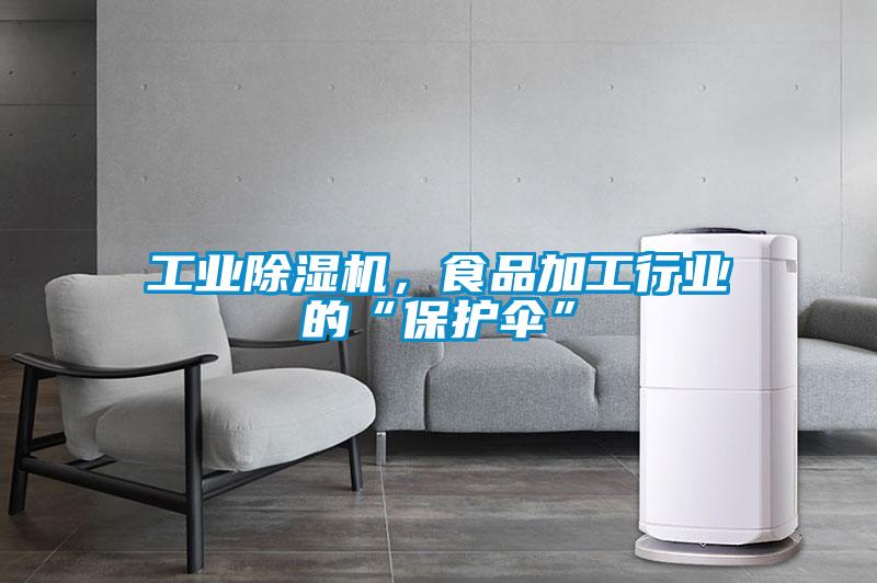 工業(yè)除濕機(jī)，食品加工行業(yè)的“保護(hù)傘”