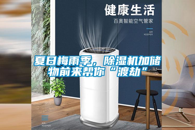 夏日梅雨季，除濕機(jī)加儲物前來幫你“渡劫”