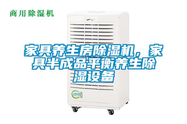 家具養(yǎng)生房除濕機(jī)，家具半成品平衡養(yǎng)生除濕設(shè)備