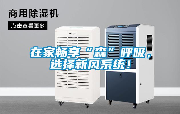 在家暢享“森”呼吸，選擇新風(fēng)系統(tǒng)！
