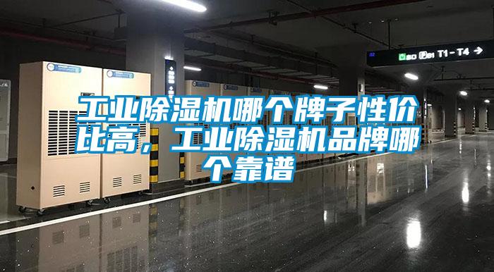 工業(yè)除濕機哪個牌子性價比高，工業(yè)除濕機品牌哪個靠譜